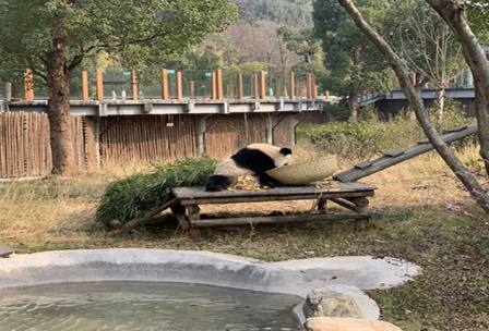 長(zhǎng)沙生態(tài)動(dòng)物園